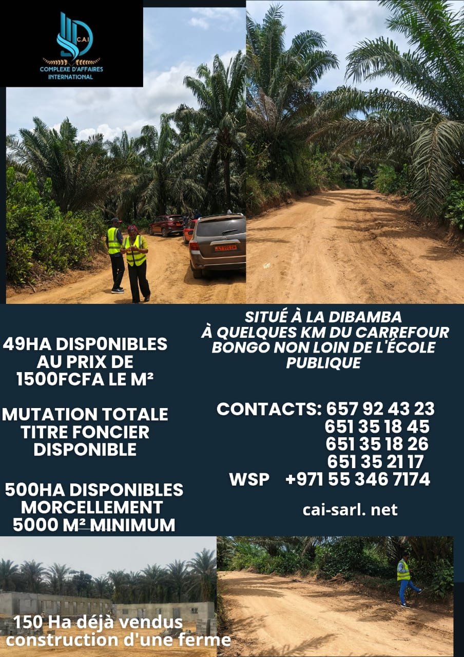 Terrain titré au niveau de bongo 