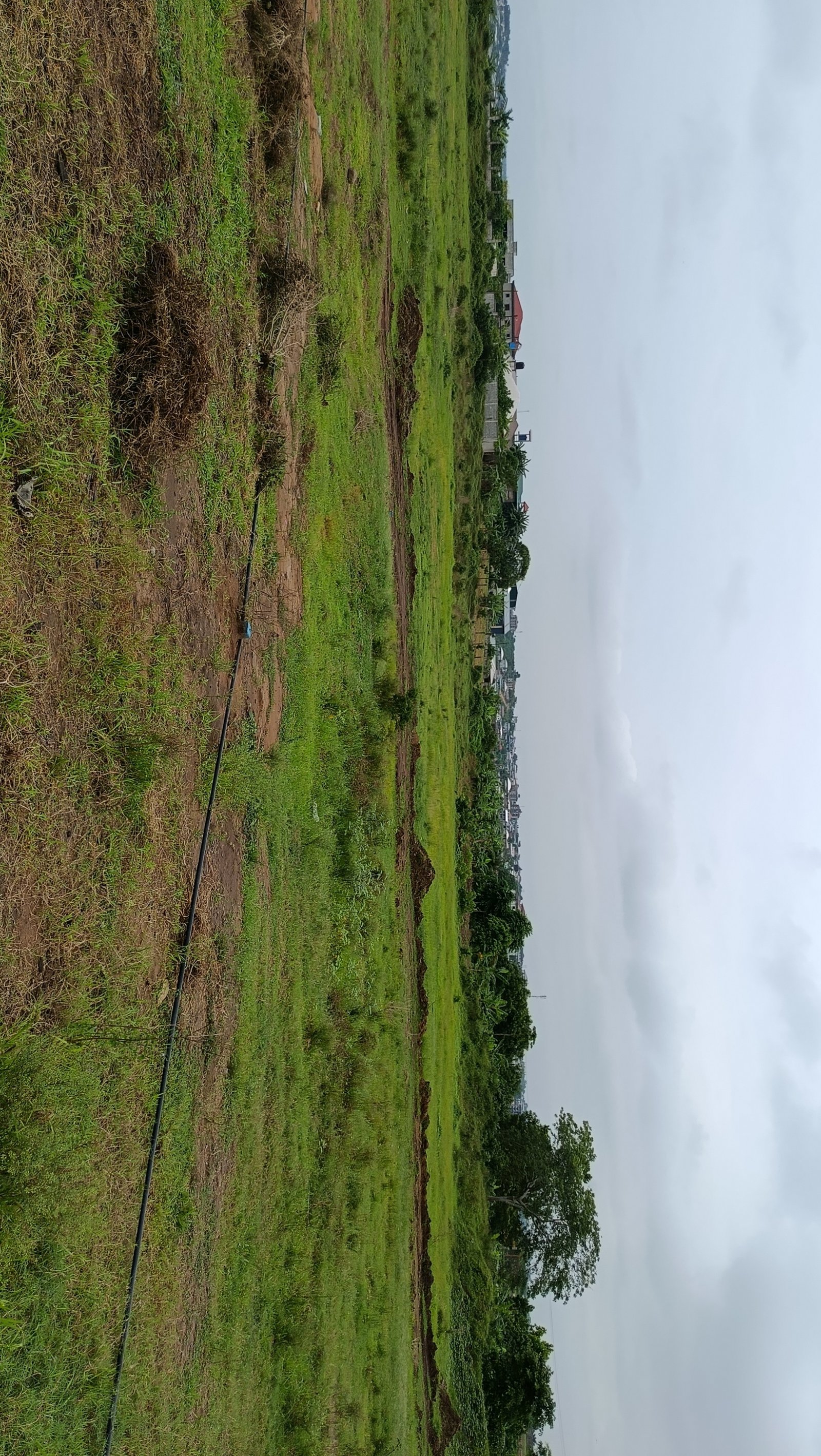 Terrain titré à vendre à yassa derrière deuxième blessing 