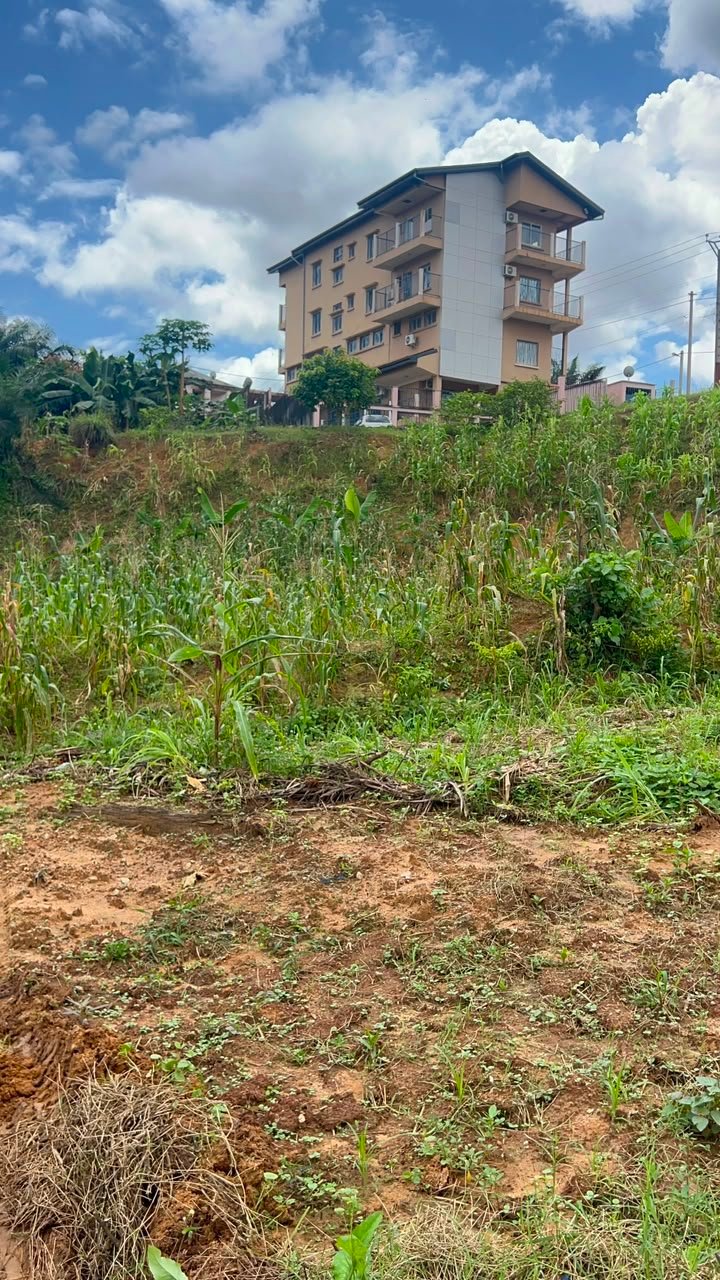 Terrain titré à vendre à yassa kolbong cité chirac maille 17 Douala